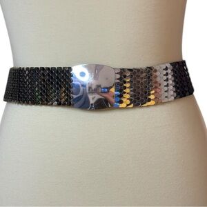 Vintage Silver Fish Scale Elastic Belt
